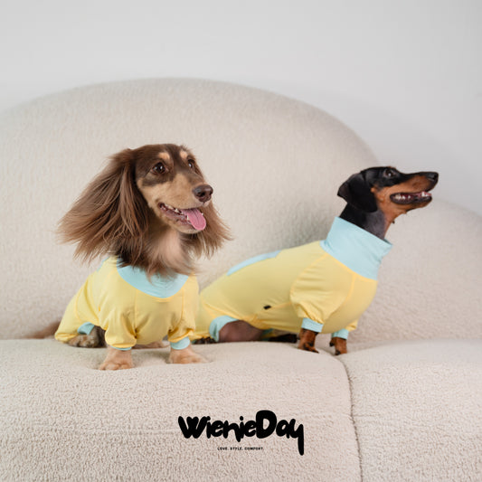 Wieniedy “Bingo” Four-Legged Turtleneck Cooling Suit for Dogs