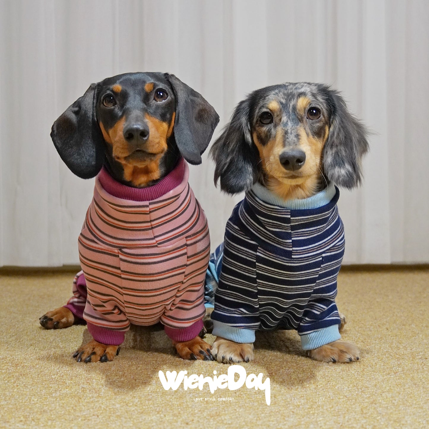 Wieniedy「スフレ」【全2色】ストライプ柄ストレッチフリース 犬用全身ベースレイヤー