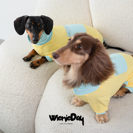 Wieniedy “Bingo” Four-Legged Turtleneck Cooling Suit for Dogs