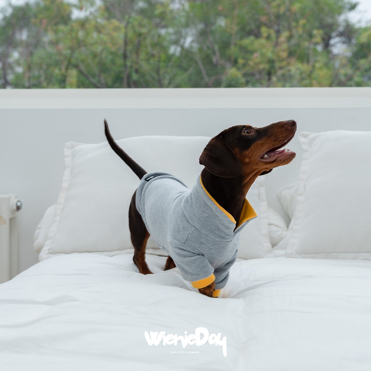 Wieniedy “Soufflé” [2 Colors] Two-Legged Turtleneck Merino Wool Base Layer for Dogs