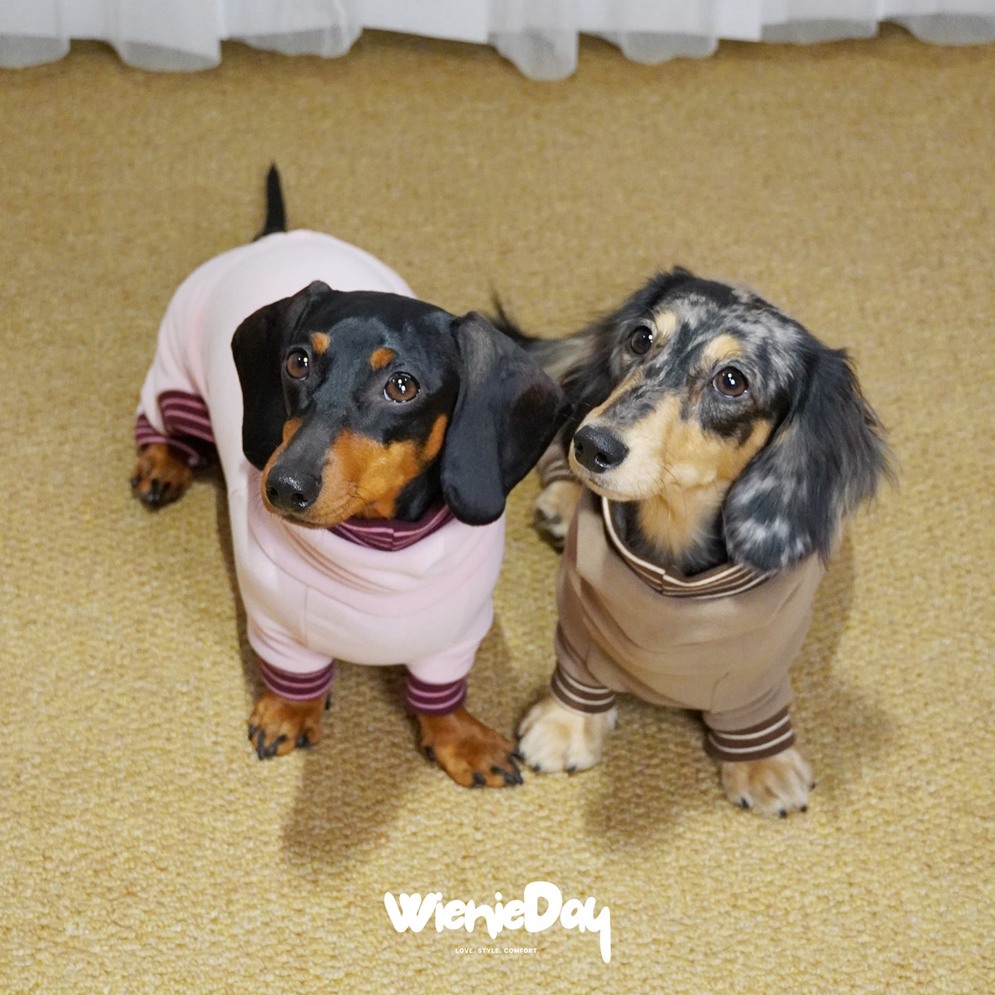 Wieniedy “Soufflé” [2 Colors] Stretch Fleece Full-Body Base Layer for Dogs