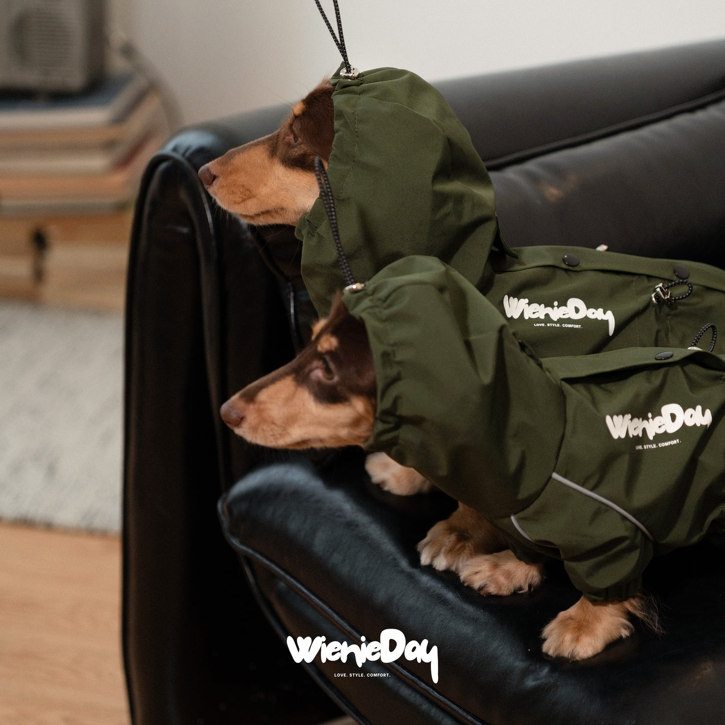 Wieniedy ”Alpine“ Four-Legged Waterproof & Windproof All-Weather Jacket for Dogs