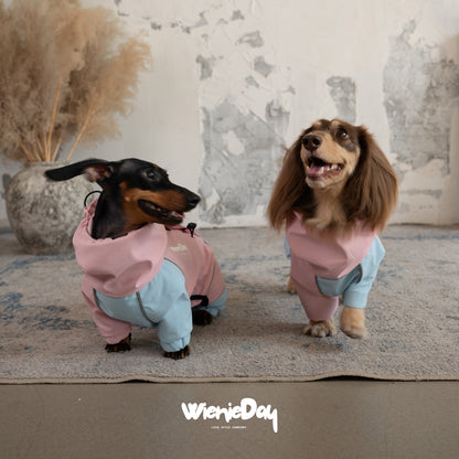 Wieniedy “Alpine” Four-Legged Colorblock Waterproof & Windproof Jacket