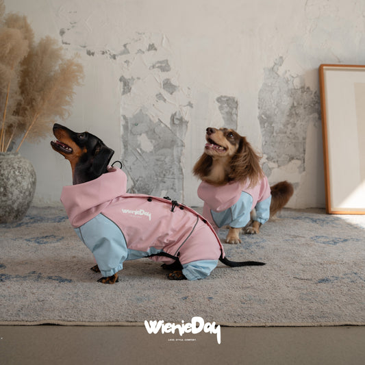 Wieniedy “Alpine” Four-Legged Colorblock Waterproof & Windproof Jacket