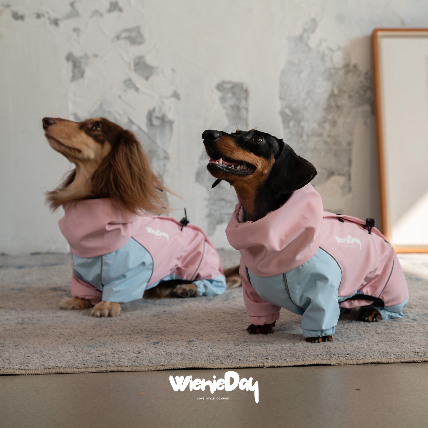 Wieniedy “Alpine” Four-Legged Colorblock Waterproof & Windproof Jacket