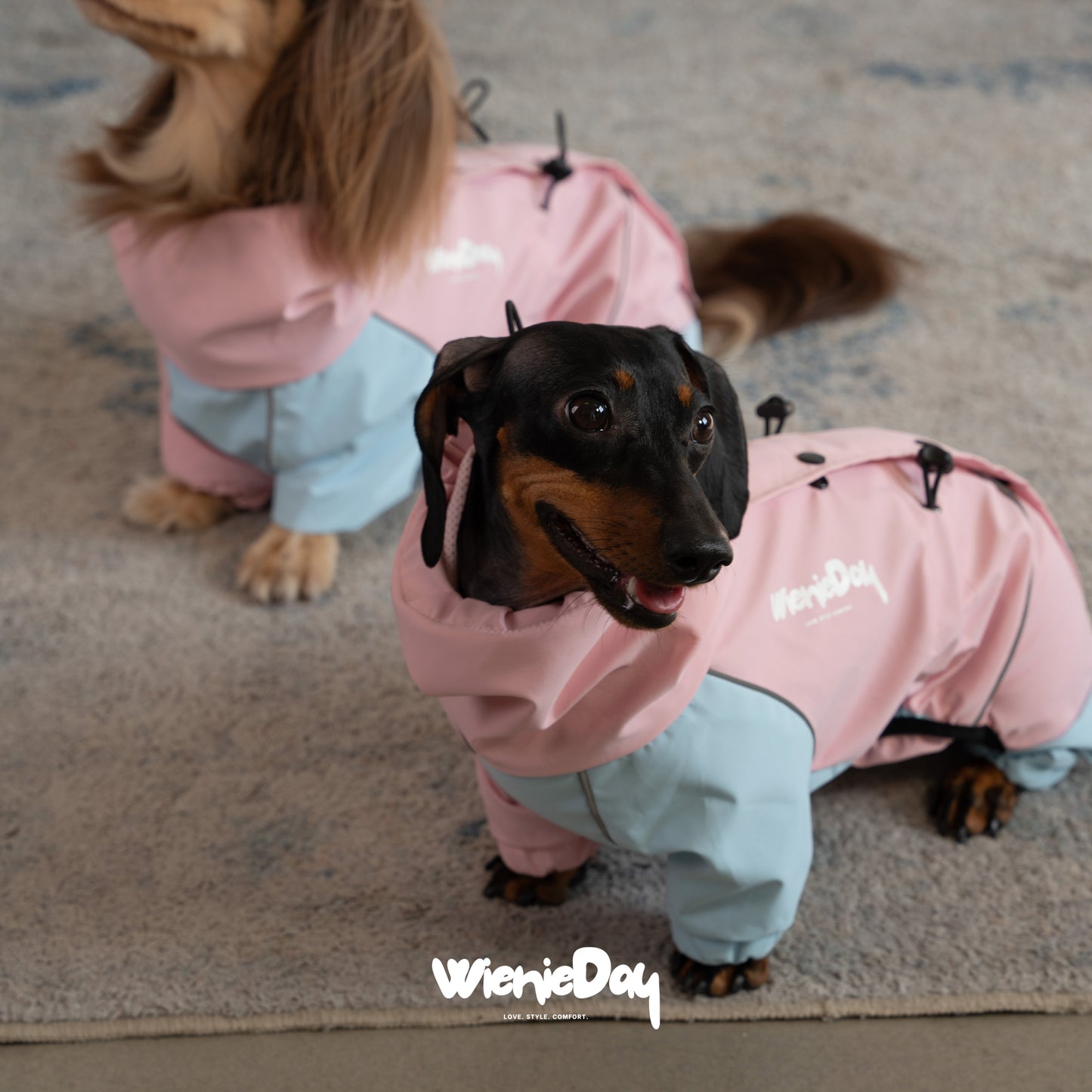Wieniedy “Alpine” Four-Legged Colorblock Waterproof & Windproof Jacket