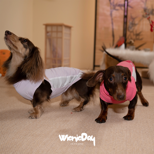 Wieniedy “Bingo” [2 Colors] Sleeveless Turtleneck Cooling Vest for Dogs