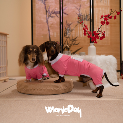 Wieniedy “Bingo” Four-Legged Turtleneck Cooling Suit for Dogs