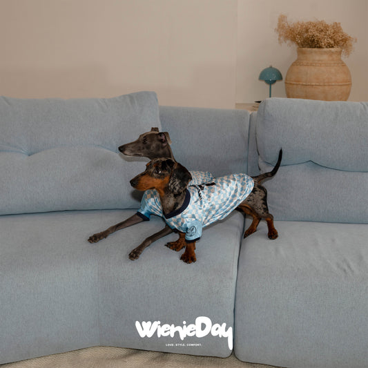Wieniedy “Match Day” Two Legged Base Layer