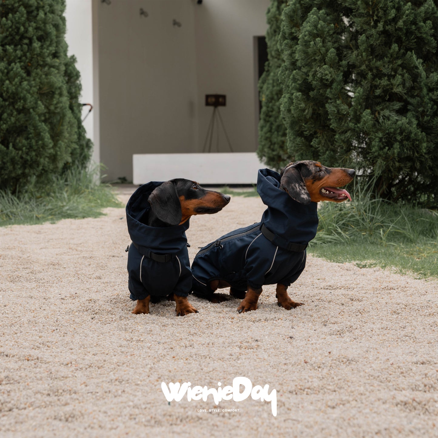 Wieniedy ”Alpine“ Four-Legged Waterproof & Windproof All-Weather Jacket for Dogs 2.0