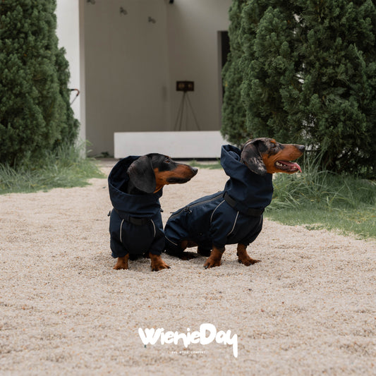 Wieniedy ”Alpine“ Four-Legged Waterproof & Windproof All-Weather Jacket for Dogs 2.0