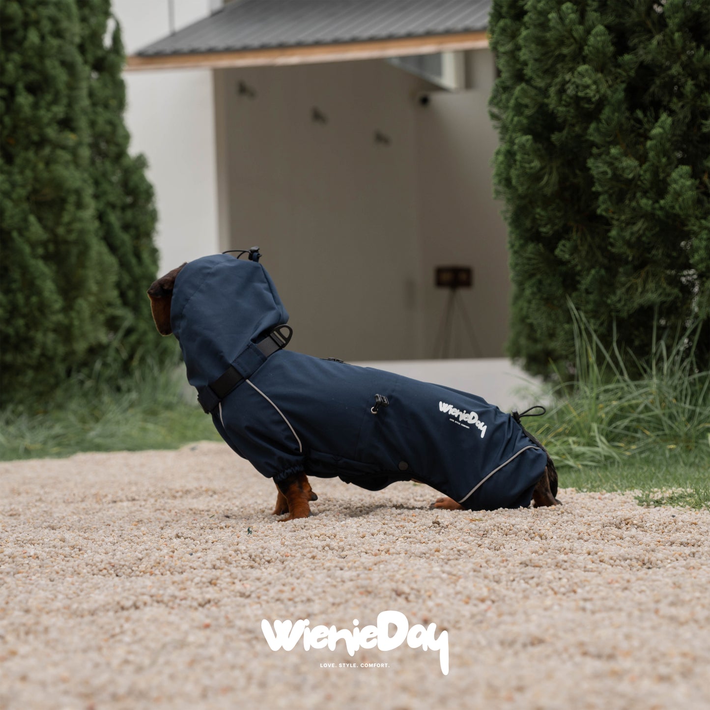 Wieniedy ”Alpine“ Four-Legged Waterproof & Windproof All-Weather Jacket for Dogs 2.0