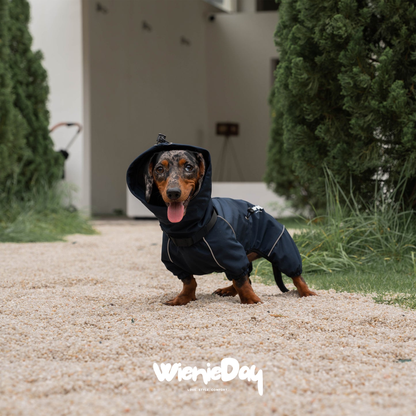 Wieniedy ”Alpine“ Four-Legged Waterproof & Windproof All-Weather Jacket for Dogs 2.0