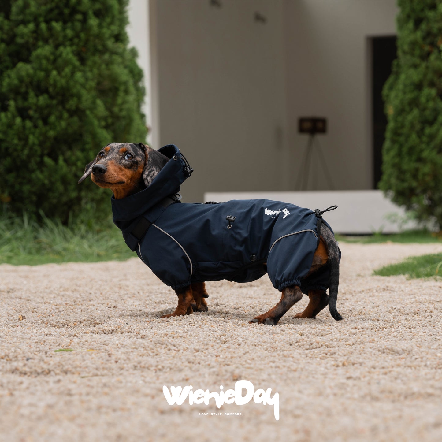 Wieniedy ”Alpine“ Four-Legged Waterproof & Windproof All-Weather Jacket for Dogs 2.0