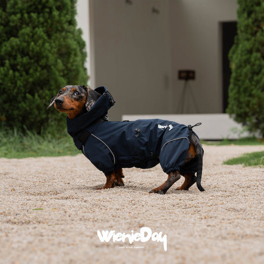 Wieniedy ”Alpine“ Four-Legged Waterproof & Windproof All-Weather Jacket for Dogs 2.0