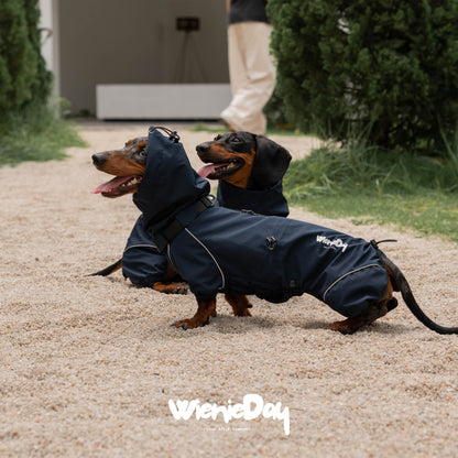 Wieniedy ”Alpine“ Four-Legged Waterproof & Windproof All-Weather Jacket for Dogs 2.0