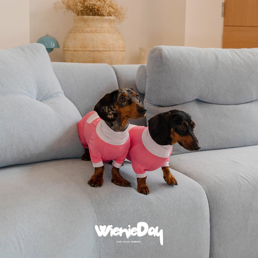 Wieniedy “Bingo” Four-Legged Turtleneck Cooling Suit for Dogs