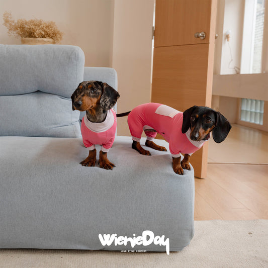 Wieniedy “Bingo” Four-Legged Turtleneck Cooling Suit for Dogs