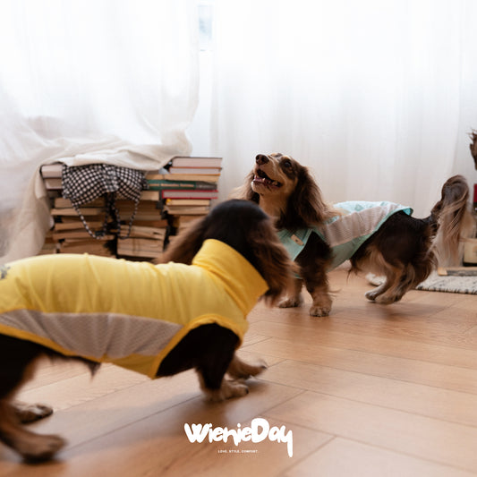 Wieniedy “Bingo” [2 Colors] Sleeveless Turtleneck Cooling Vest for Dogs