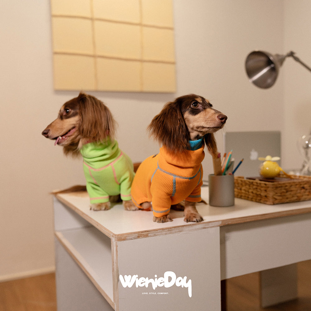 Wieniedy “Soufflé” [2 Colors] Waffle Full-Body Base Layer