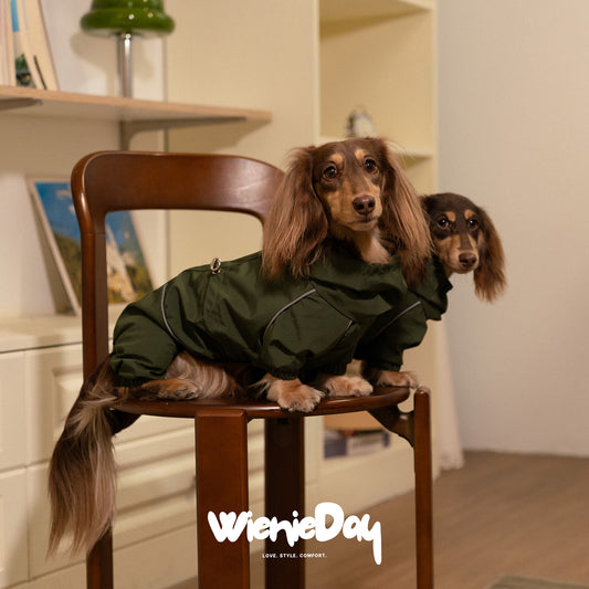 Wieniedy ”Alpine“ Four-Legged Waterproof & Windproof All-Weather Jacket for Dogs