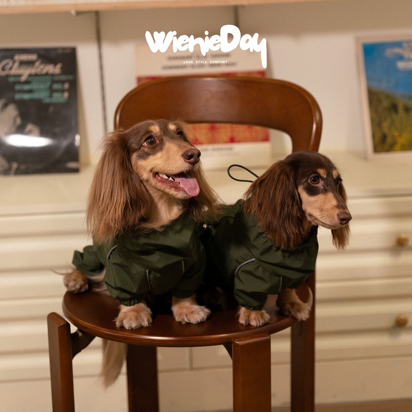 Wieniedy ”Alpine“ Four-Legged Waterproof & Windproof All-Weather Jacket for Dogs